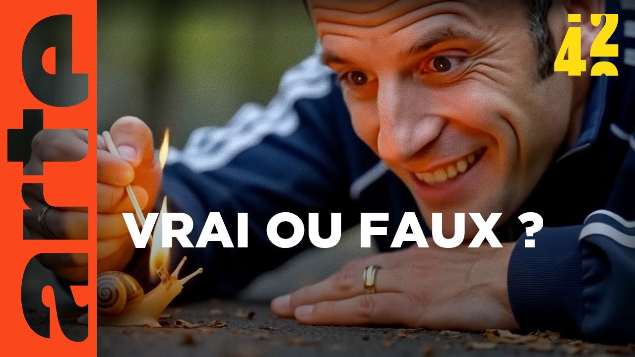 Miniature de Quel est le pouvoir de la désinformation ? by Arte