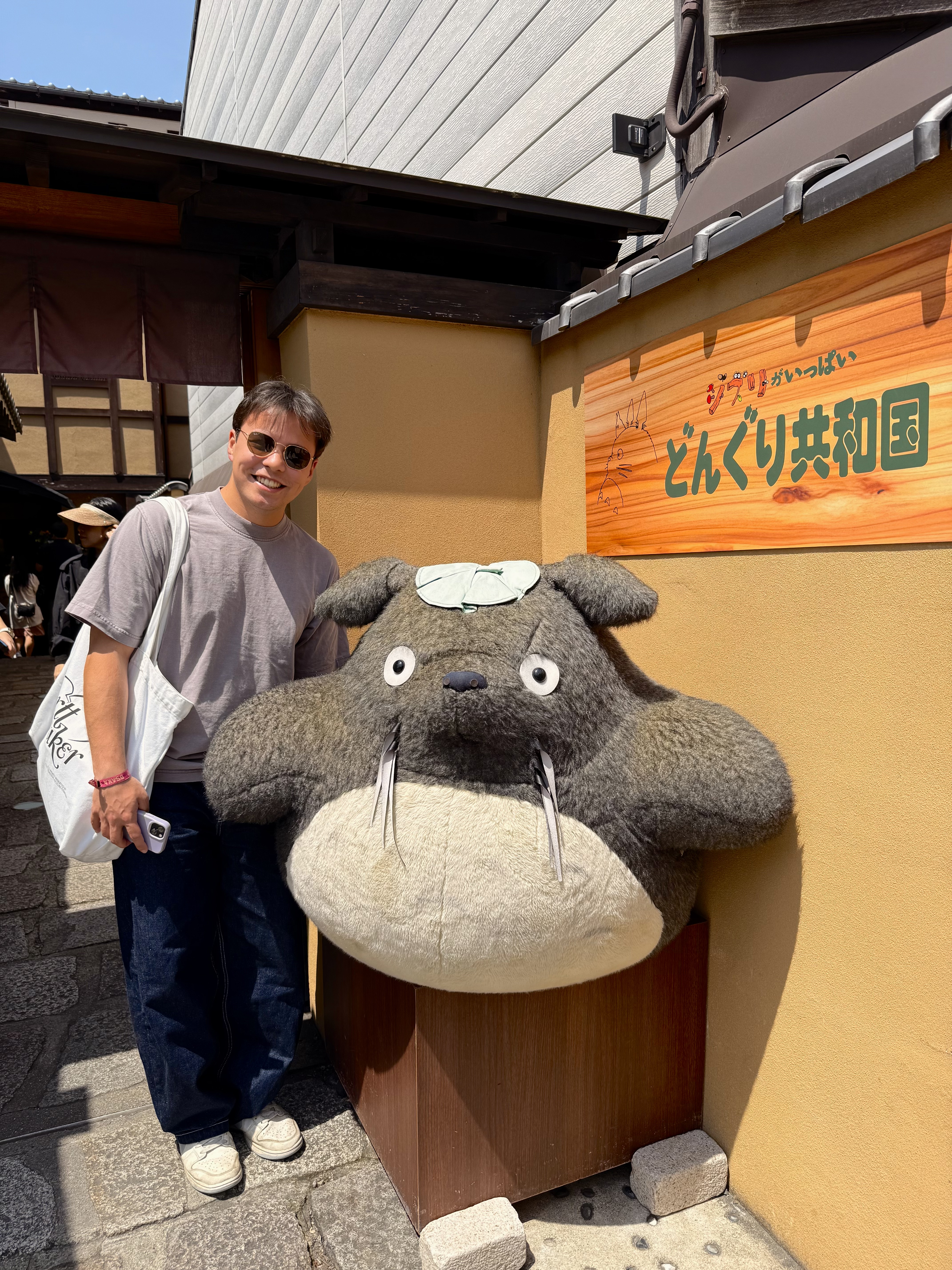 Miniature du film Mon voisin Totoro by Hayao Miyazaki